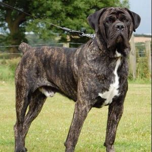 Meet your Posher, Leah